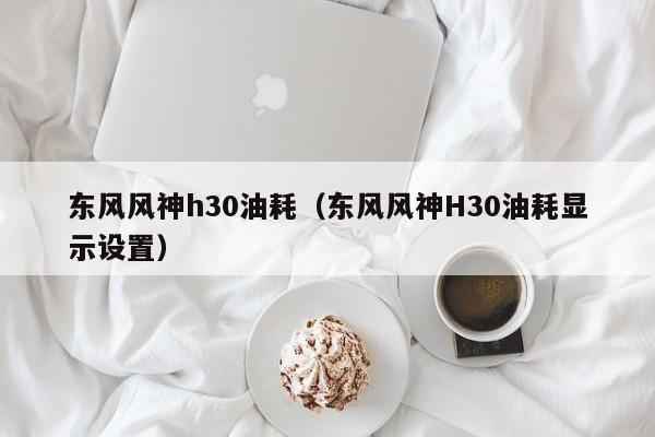 东风风神h30油耗（东风风神H30油耗显示设置）