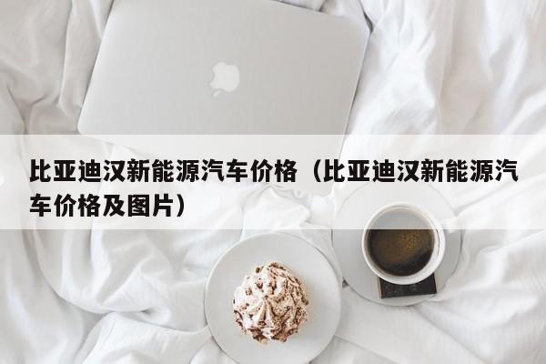 比亚迪汉新能源汽车价格（比亚迪汉新能源汽车价格及图片）