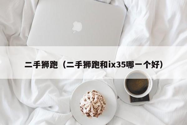 二手狮跑（二手狮跑和ix35哪一个好）