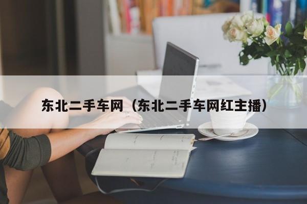 东北二手车网（东北二手车网红主播）