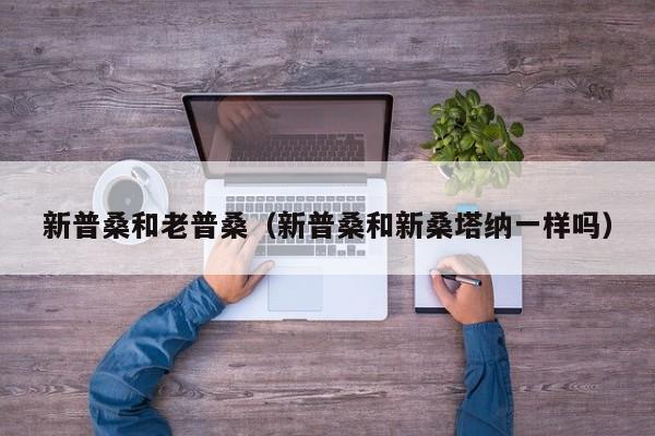 新普桑和老普桑（新普桑和新桑塔纳一样吗）
