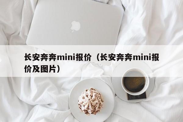 长安奔奔mini报价（长安奔奔mini报价及图片）