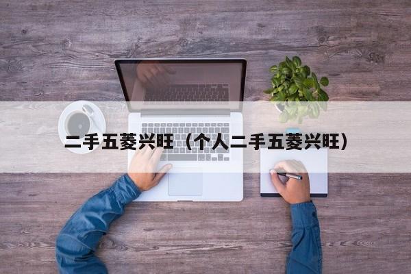 二手五菱兴旺（个人二手五菱兴旺）