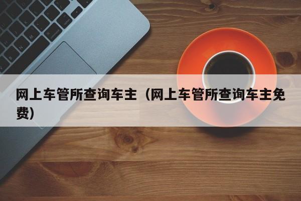 网上车管所查询车主（网上车管所查询车主免费）