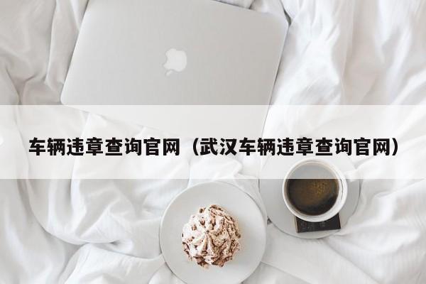 车辆违章查询官网（武汉车辆违章查询官网）
