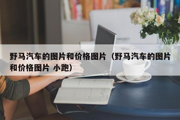 野马汽车的图片和价格图片（野马汽车的图片和价格图片 小跑）
