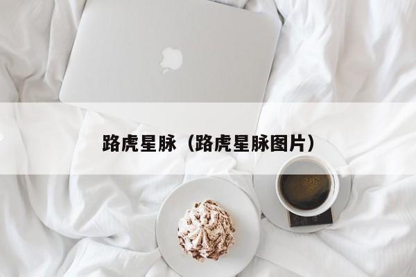路虎星脉（路虎星脉图片）