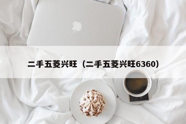 二手五菱兴旺（二手五菱兴旺6360）
