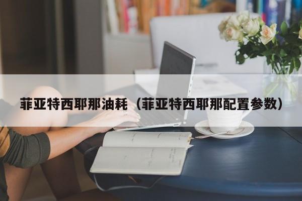 菲亚特西耶那油耗（菲亚特西耶那配置参数）