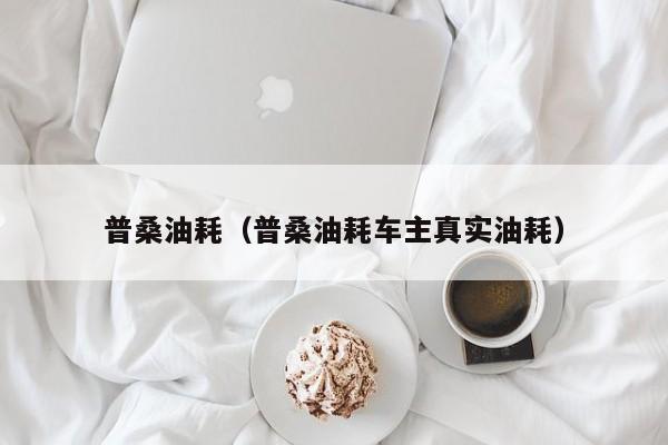 普桑油耗（普桑油耗车主真实油耗）