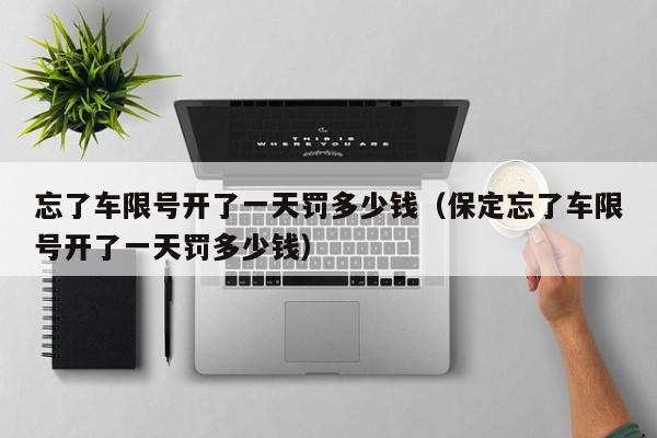 忘了车限号开了一天罚多少钱（保定忘了车限号开了一天罚多少钱）