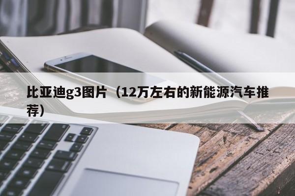 比亚迪g3图片（12万左右的新能源汽车推荐）