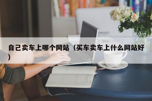 自己卖车上哪个网站（买车卖车上什么网站好）