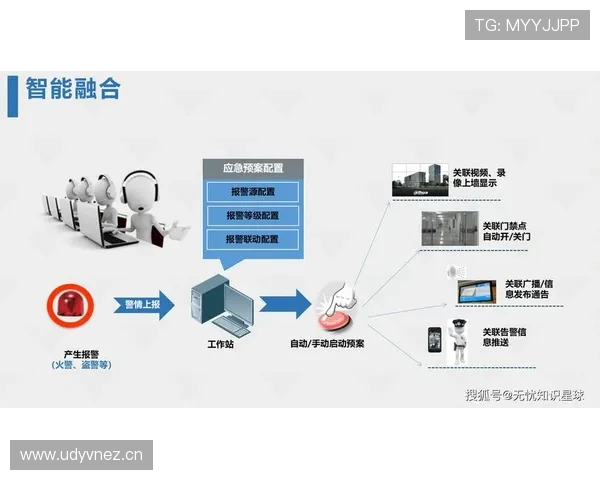 足球赛事的数字化转型与未来发展趋势 足球赛事的数字化转型与未来发展趋势