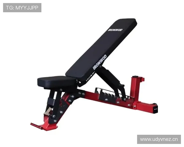 顶级健身器材健康生活的长期投资之选与价值解码