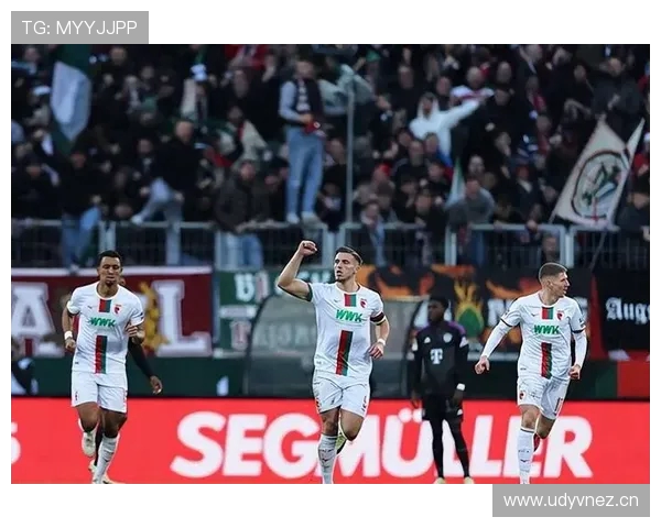 德甲各个球队的主场及球迷文化介绍