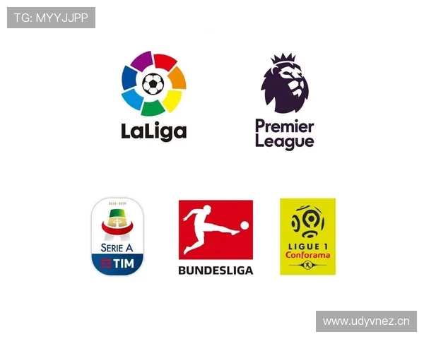 法甲新赛季转会资金投入分布统计与解读