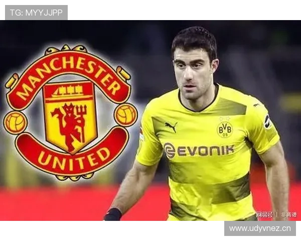 英超球衣胸口出现的大黄蜂图案含义详解 英超球衣胸口出现的大黄蜂图案含义详解